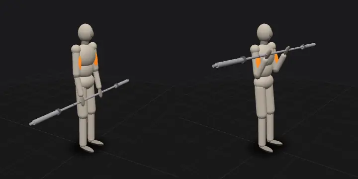 Standing barbell curl: top and bottom position of the repetition, 3D model