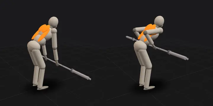 Bent-over barbell row: top and bottom position of the repetition, 3D model