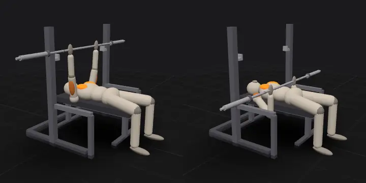 Barbell bench press: top and bottom position of the repetition, 3D model
