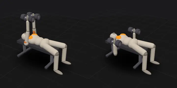 Жим гантелей лёжа: верхнее и нижнее положение повторения, 3D-модель
