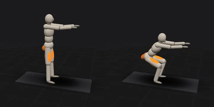 Приседания без веса: верхнее и нижнее положение повторения, 3D-модель