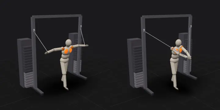 Standing cable fly from the high pulleys: top and bottom position of the repetition, 3D model