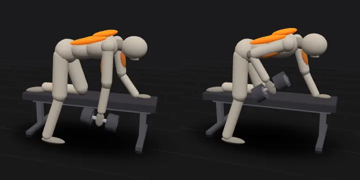 One-arm dumbbell row, braced on a bench: top and bottom position of the repetition, 3D model