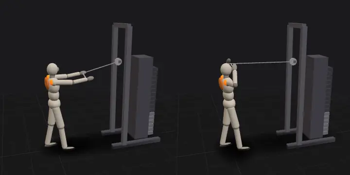 Face pull with a rope: top and bottom position of the repetition, 3D model