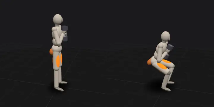 Гоблет-присед: верхнее и нижнее положение повторения, 3D-модель