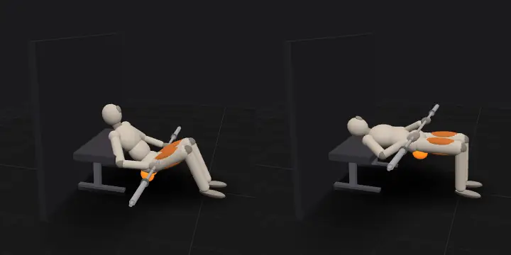 Barbell hip thrust on a bench: top and bottom position of the repetition, 3D model