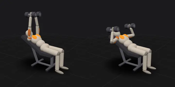 Incline dumbbell press (30°): top and bottom position of the repetition, 3D model