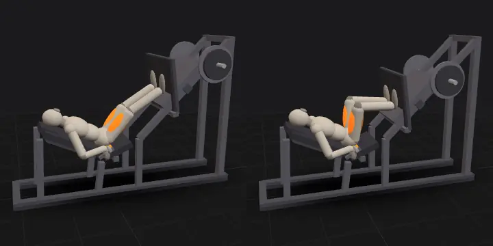 Жим ногами (45°): верхнее и нижнее положение повторения, 3D-модель