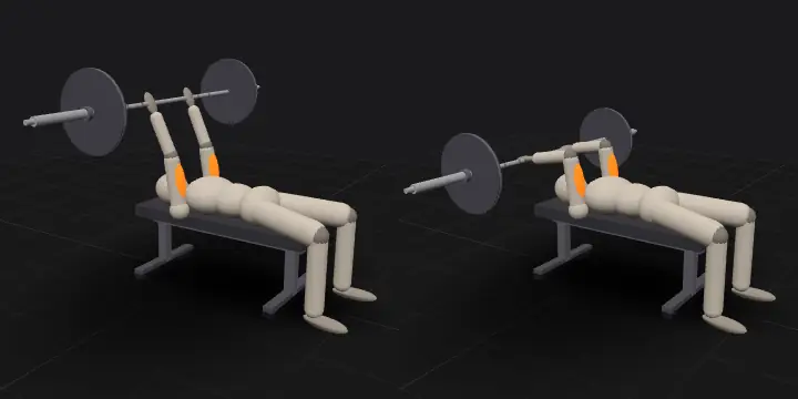 Lying triceps extension with a barbell: top and bottom position of the repetition, 3D model