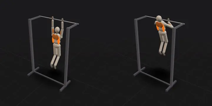 Pull-up: top and bottom position of the repetition, 3D model