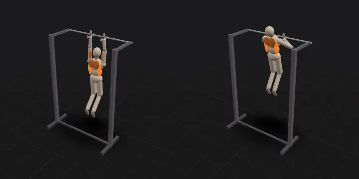 Neutral-grip pull-up: top and bottom position of the repetition, 3D model