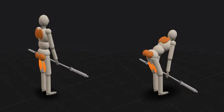 Barbell Romanian deadlift: top and bottom position of the repetition, 3D model