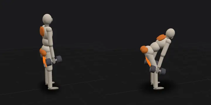 Румынская тяга с гантелями: верхнее и нижнее положение повторения, 3D-модель