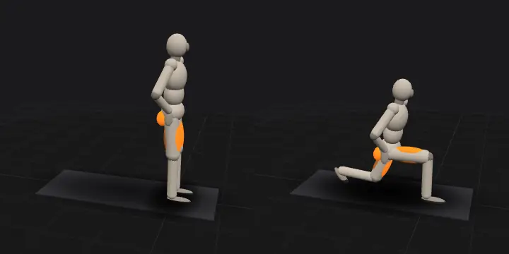 Выпады назад: верхнее и нижнее положение повторения, 3D-модель