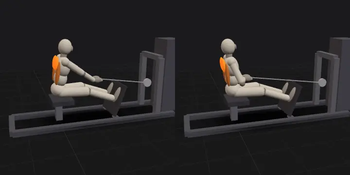 Тяга сидя: верхнее и нижнее положение повторения, 3D-модель