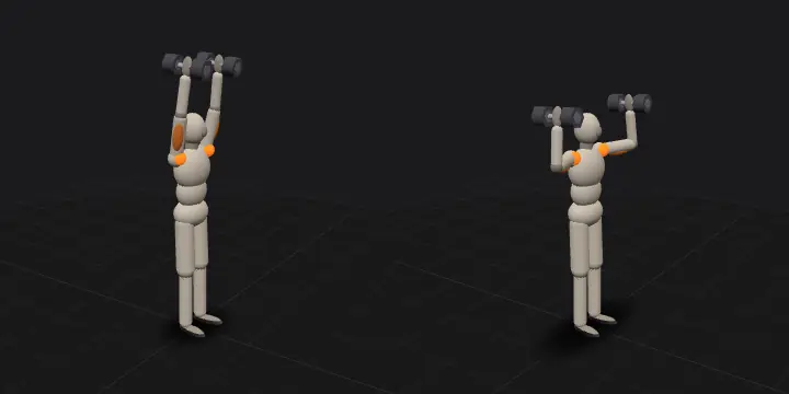 Жим гантелей стоя (армейский): верхнее и нижнее положение повторения, 3D-модель